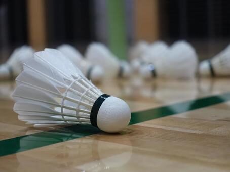 夏休み限定！バド特化プログラム🏸